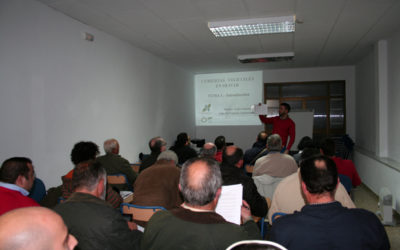 SEMINARIO: CUBIERTAS VEGETALES EN EL OLIVAR (Ampliar noticia)