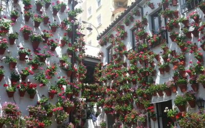 VIAJE CULTURAL A LOS PATIOS DE CÓRDOBA