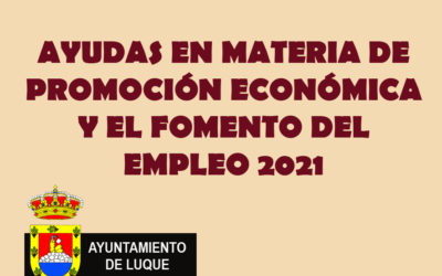 AYUDAS EN MATERIA DE PROMOCIÓN ECONÓMICA Y EL FOMENTO DEL EMPLEO 2021